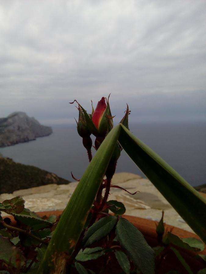 Archipelagos Apartment Olympos (Karpathos)